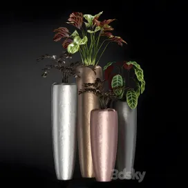 Plants llection fleur ami loft